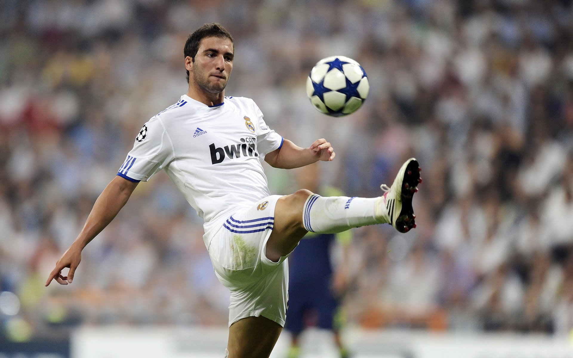 2022季后赛:库里连续三场投中10+三分,成为历史上最“狂”的远投王!